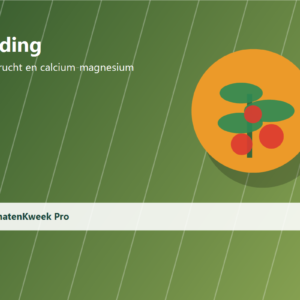 Tomaten voeding categorie